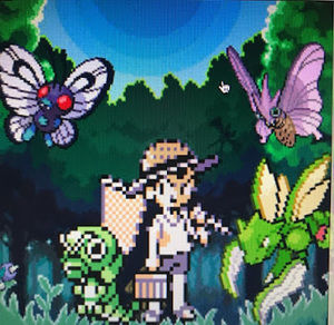 Meet your Posher, Paxton